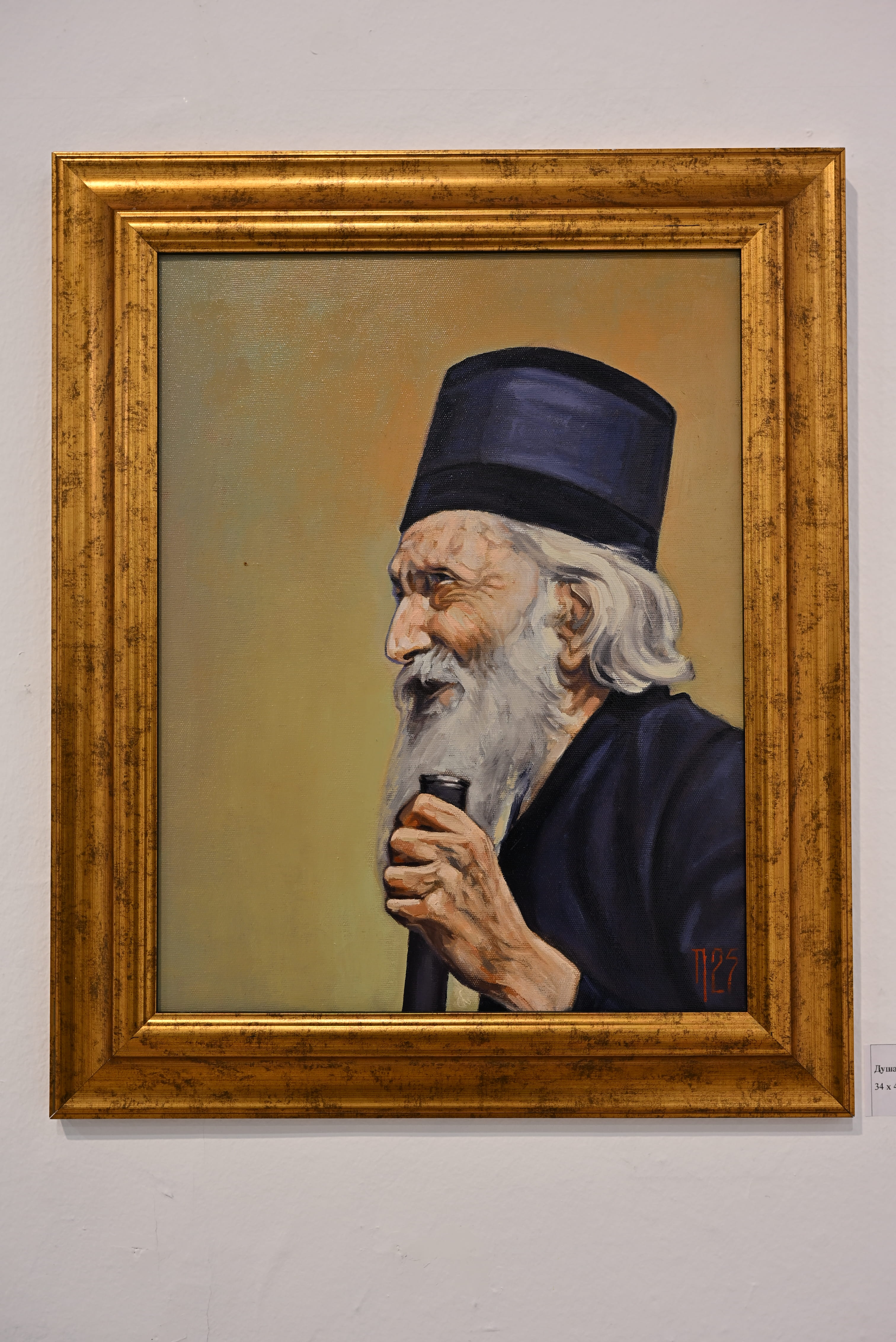 Dani Patrijarha Pavla