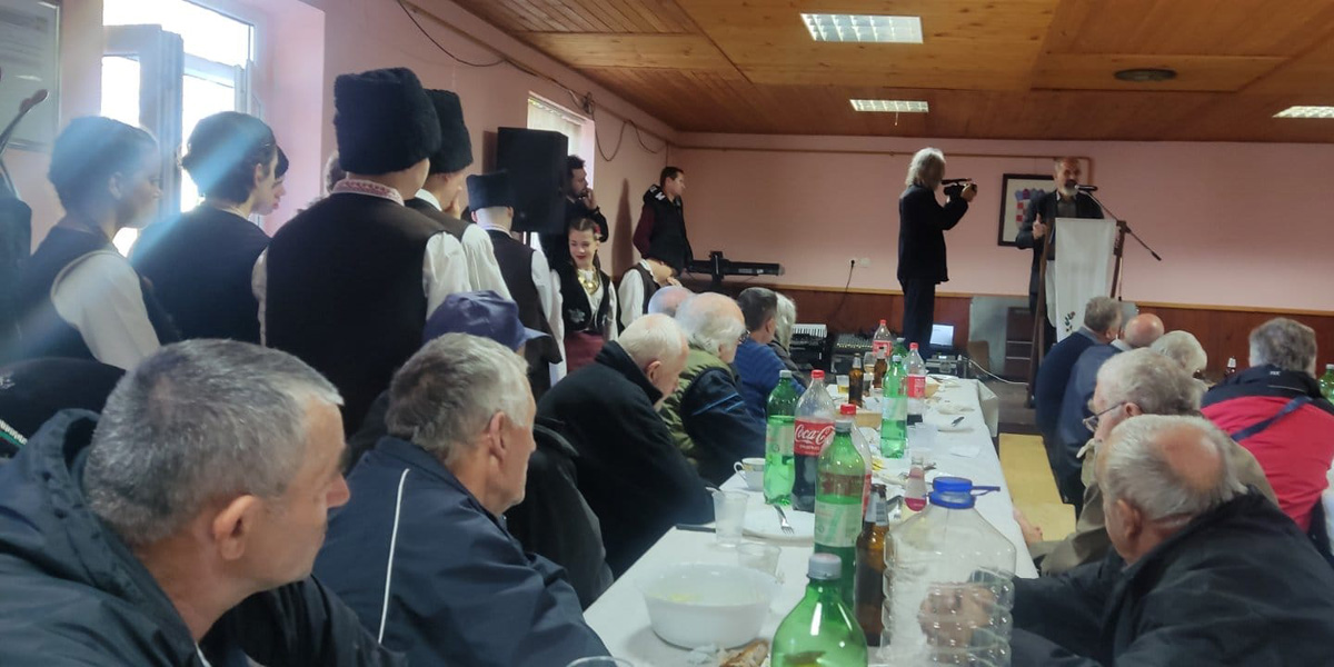 Dani Patrijarha Pavla