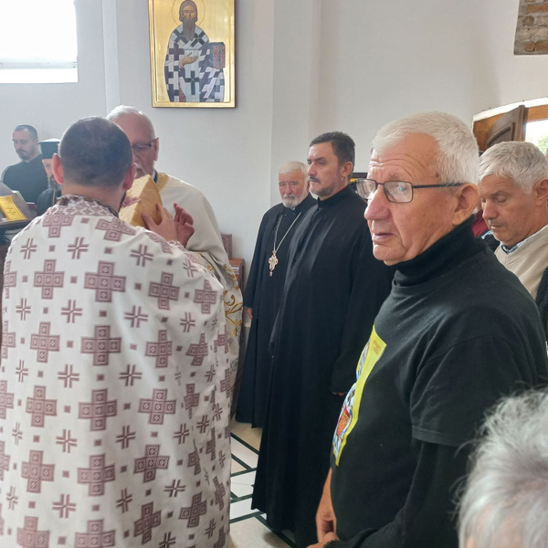 Dani Patrijarha Pavla