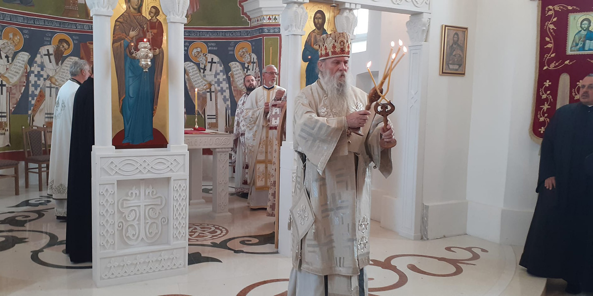 Dani Patrijarha Pavla