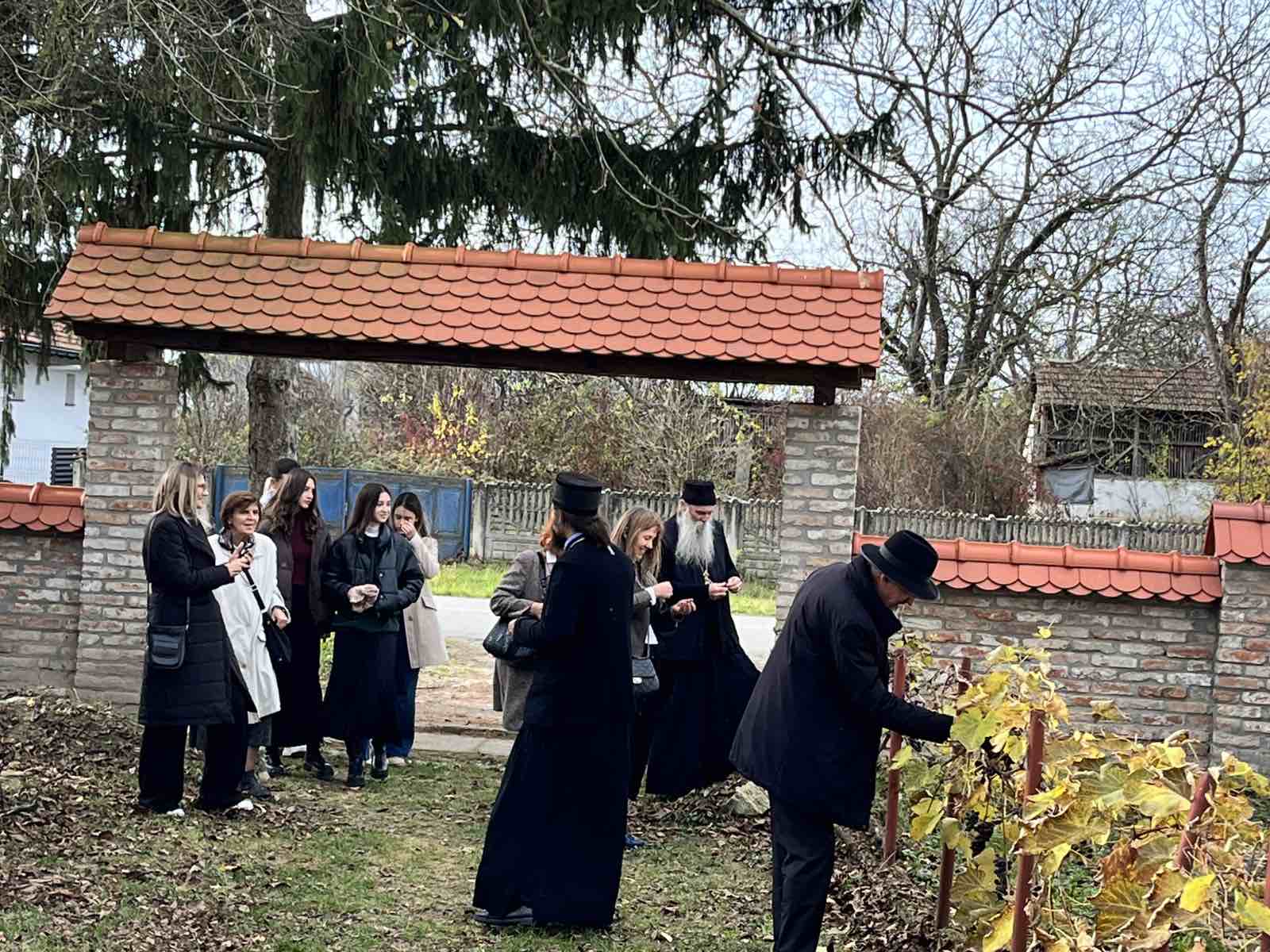 Dani Patrijarha Pavla