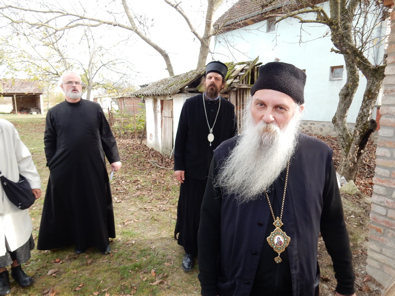 Dani Patrijarha Pavla